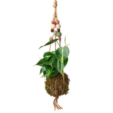 Bead Kokedama Moss Ball Hanging Plant